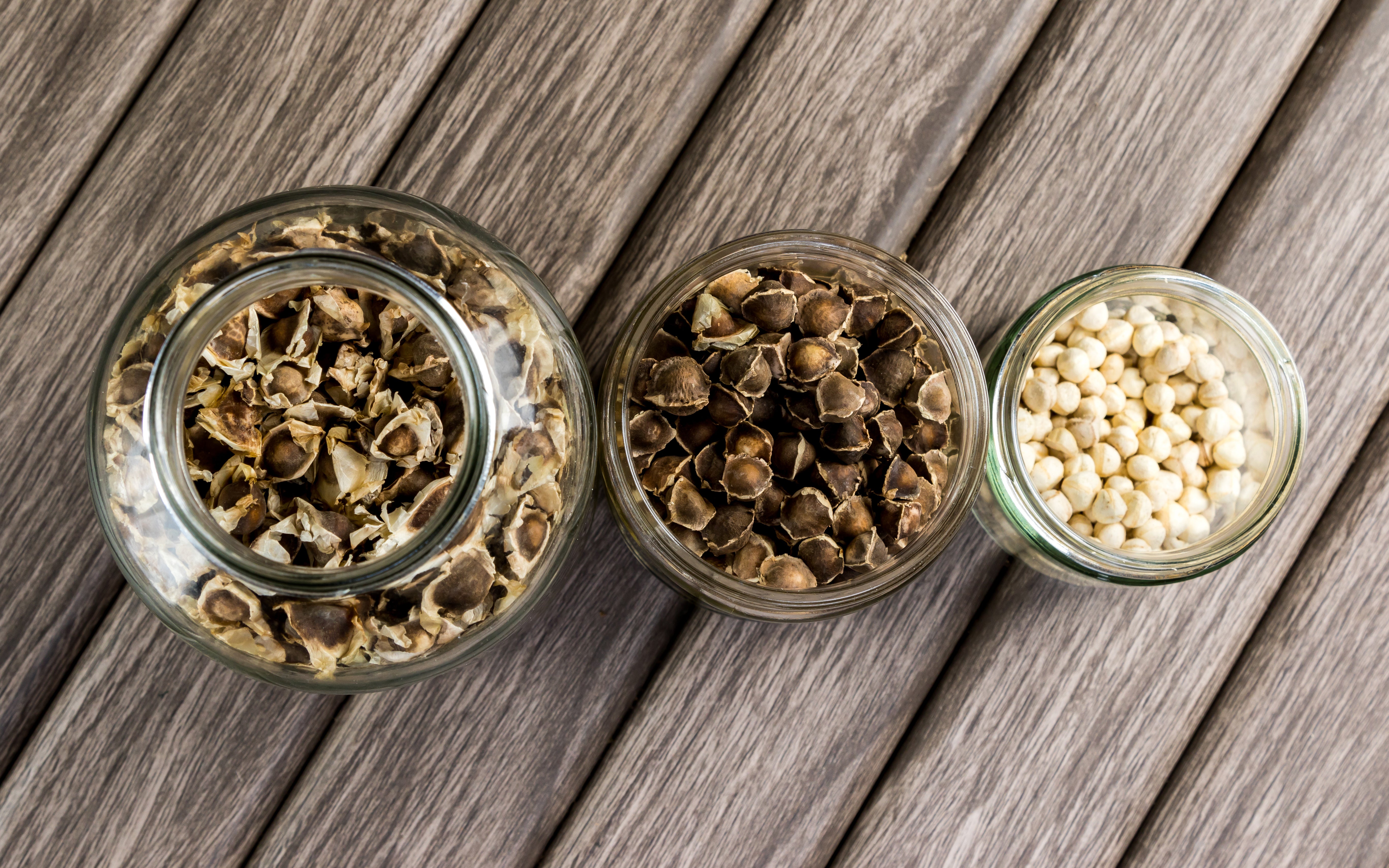 Moringa Oleifera Dried Seeds